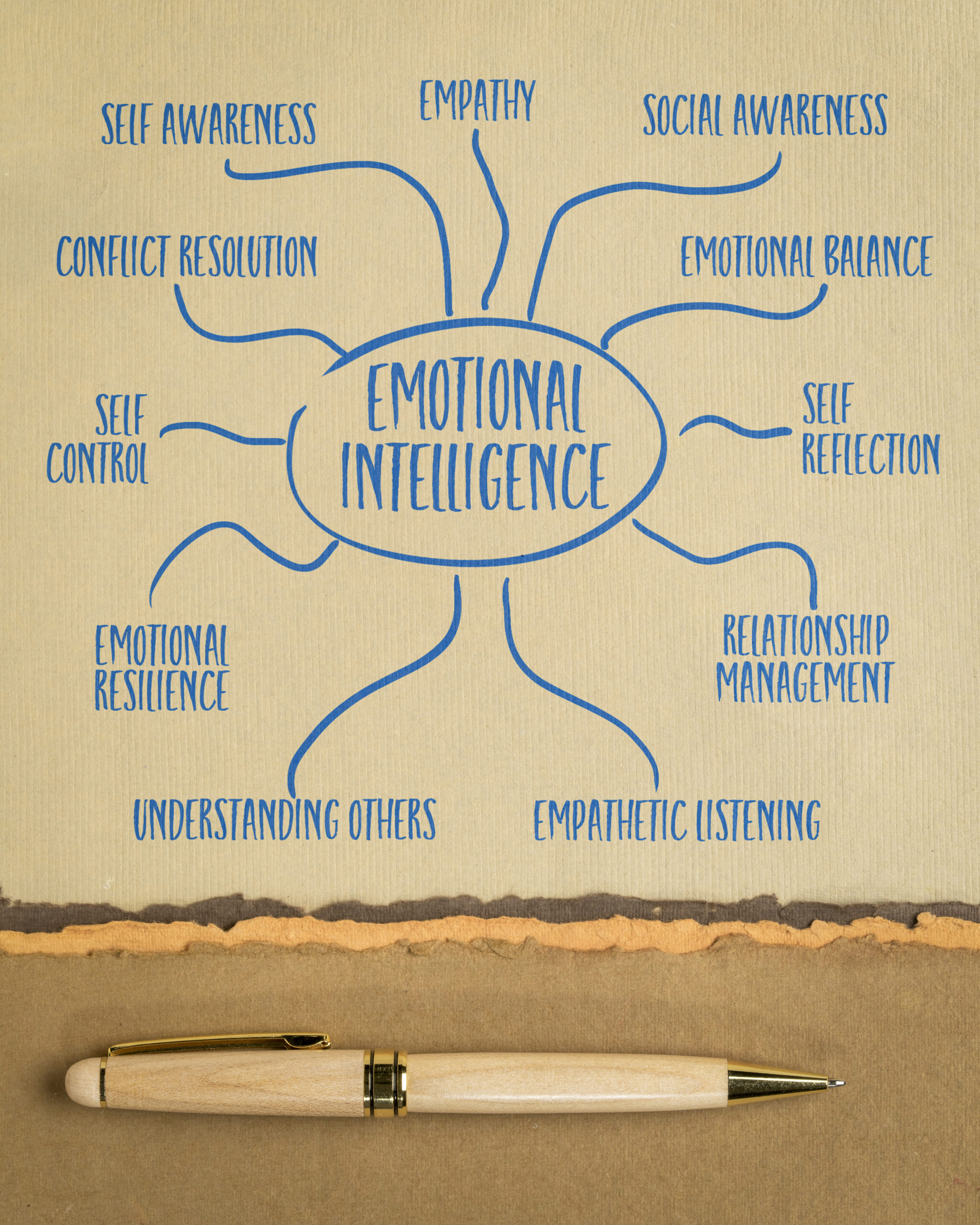 Social and Emotional Intelligence Coaching